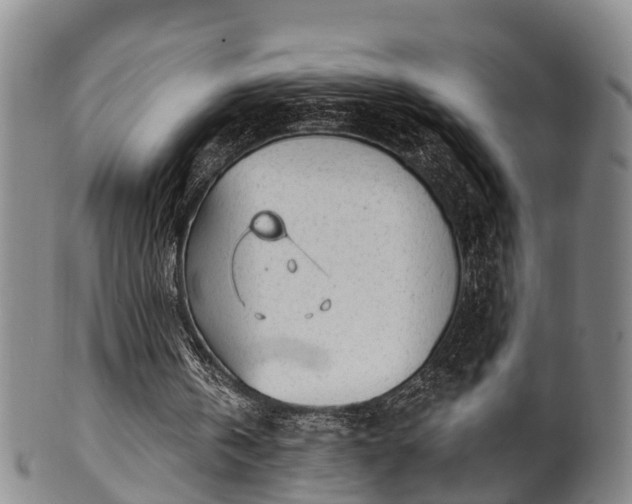 X0000100870146200806271121