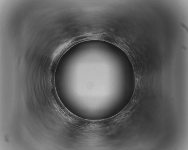 X0000100870149200806271121