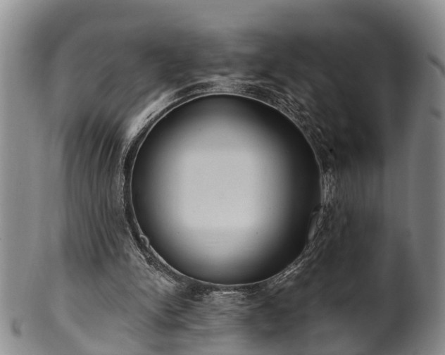 X0000100870150200806271121