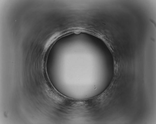 X0000100870151200806271121