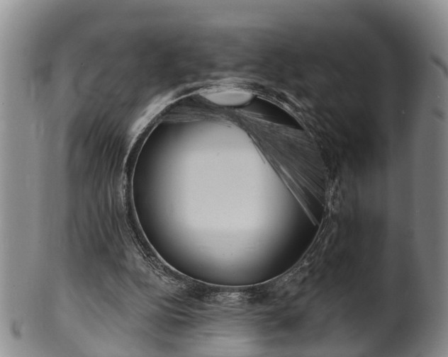X0000100870152200806271121