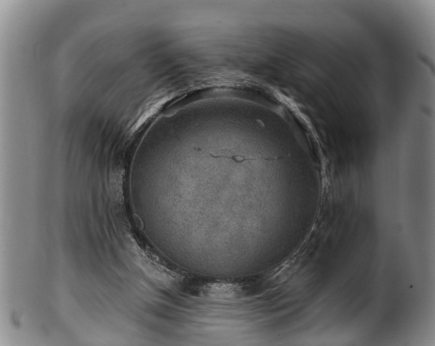 X0000100870154200806271121