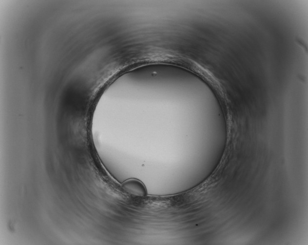 X0000100870155200806271121