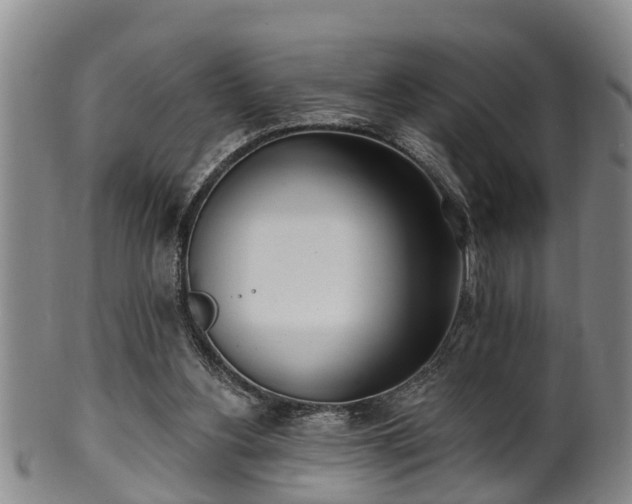 X0000100870156200806271121