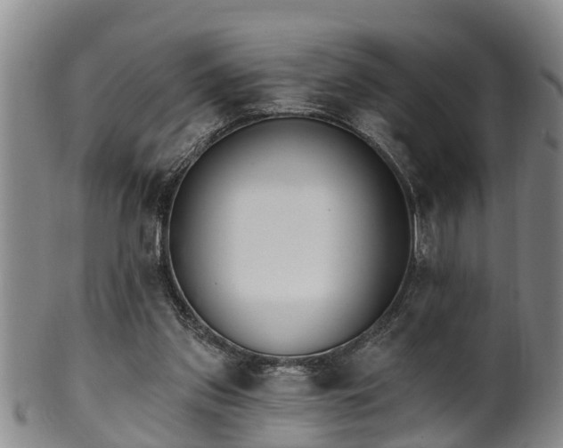 X0000100870157200806271121