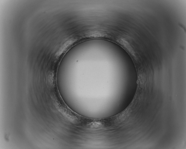 X0000100870159200806271121