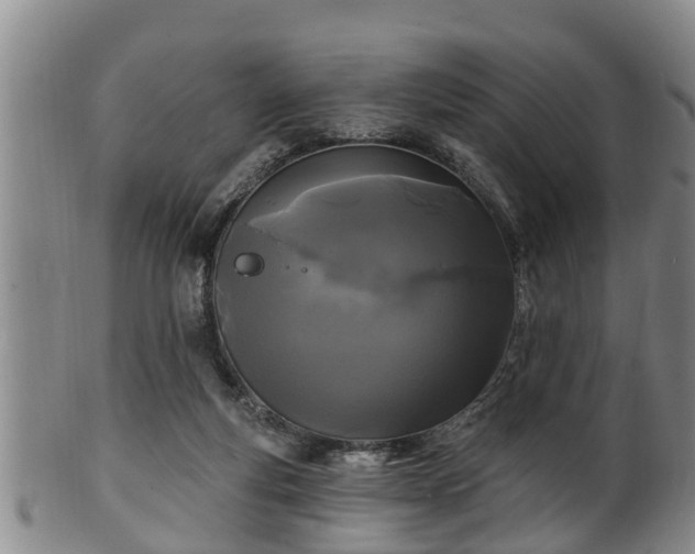 X0000100870163200806271121