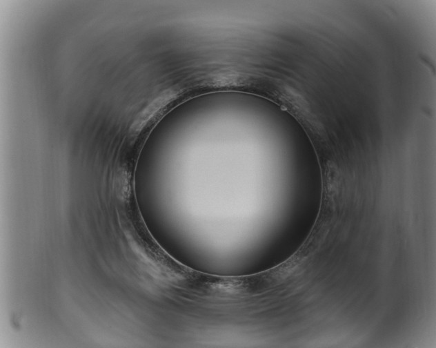 X0000100870164200806271121