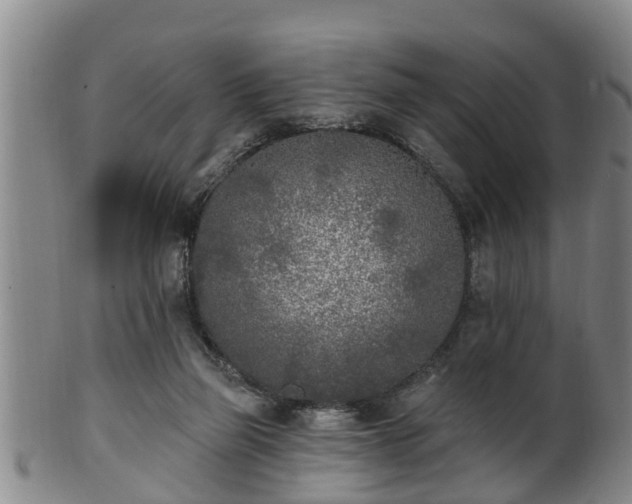 X0000100870165200806271121