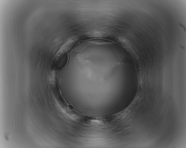 X0000100870167200806271121