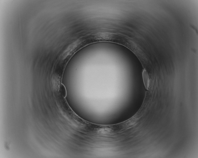 X0000100870168200806271121