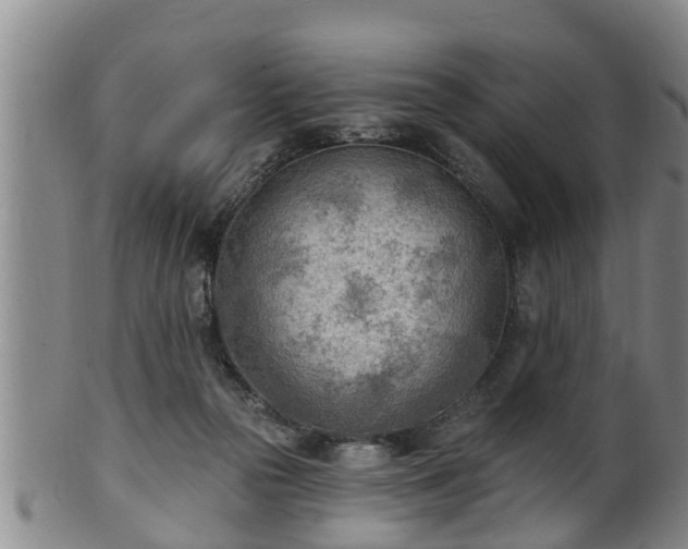 X0000100870169200806271121