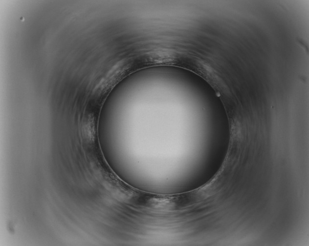 X0000100870170200806271121