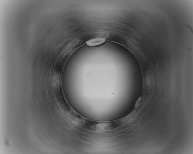 X0000100870172200806271121