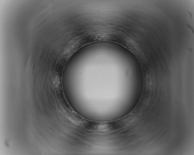 X0000100870173200806271122