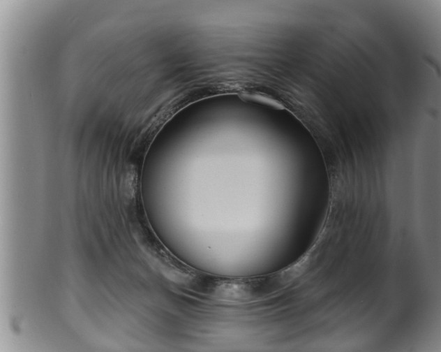 X0000100870174200806271122