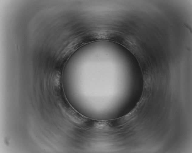 X0000100870175200806271122