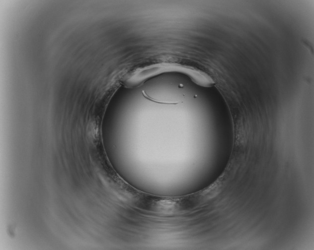 X0000100870176200806271122