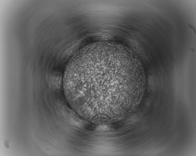 X0000100870177200806271122