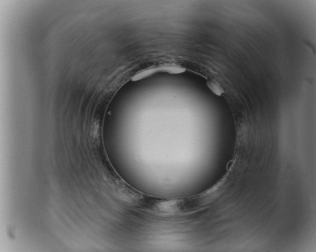 X0000100870178200806271122