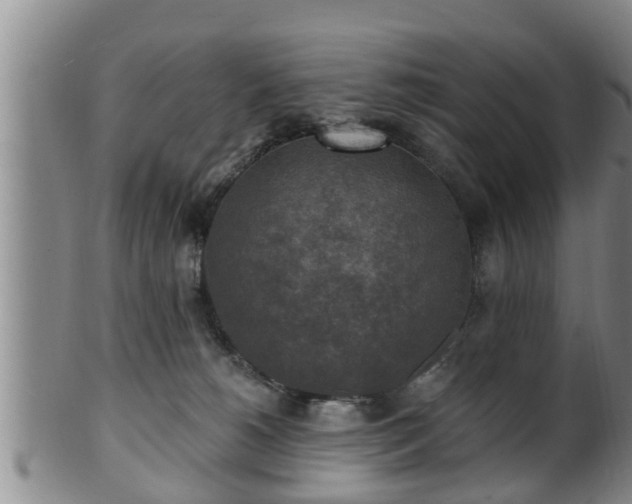 X0000100870180200806271122