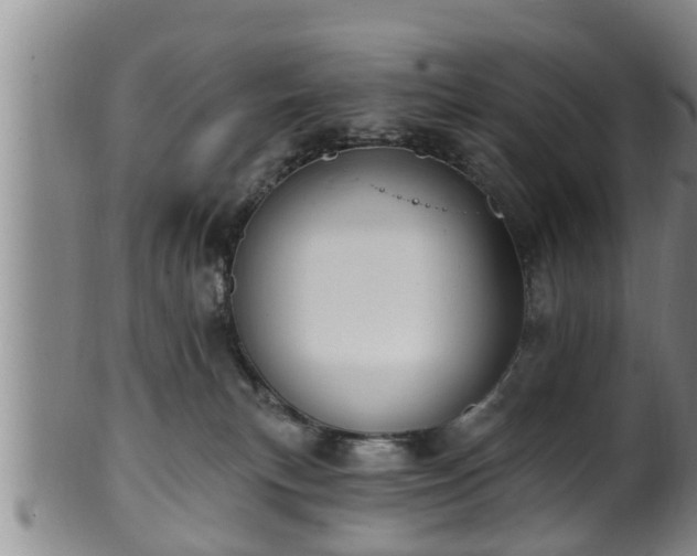 X0000100870183200806271122