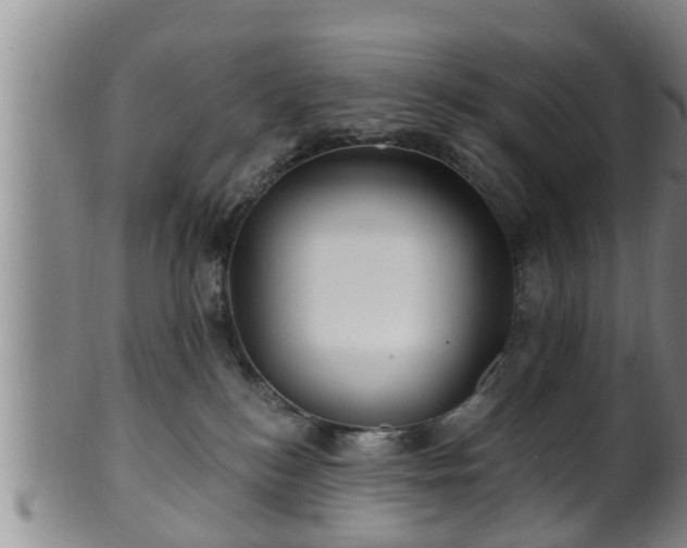 X0000100870184200806271122