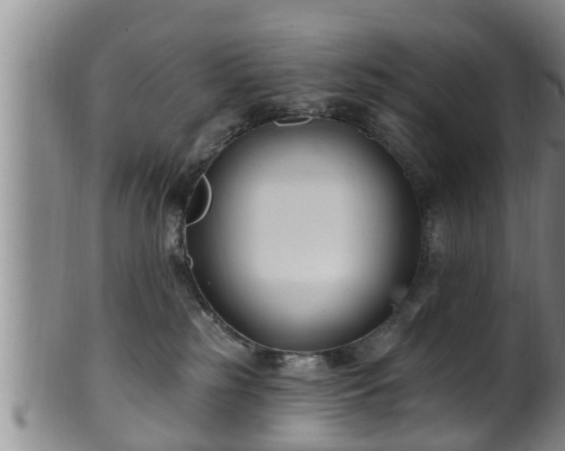 X0000100870185200806271122