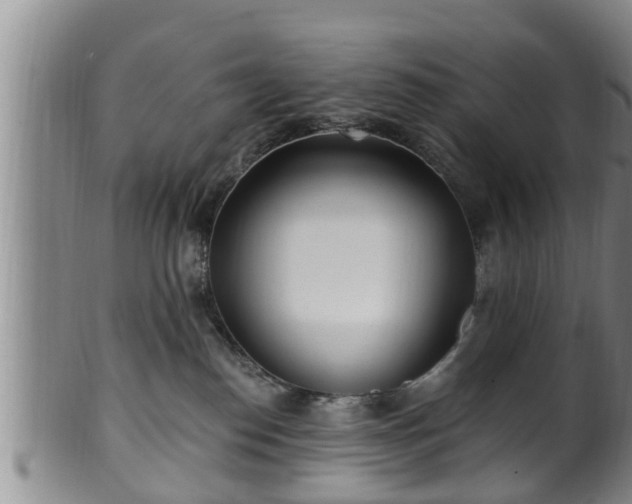 X0000100870186200806271122