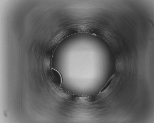 X0000100870188200806271122