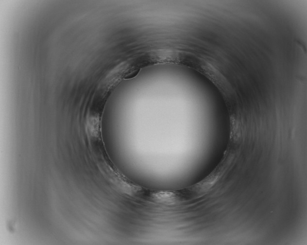 X0000100870189200806271122