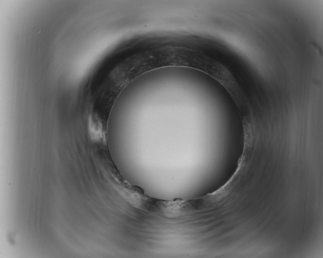 X0000100870191200806271122