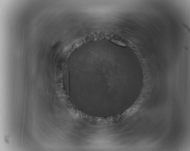 X0000100870192200806271122