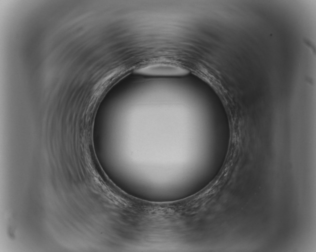 X0000100870193200806271121