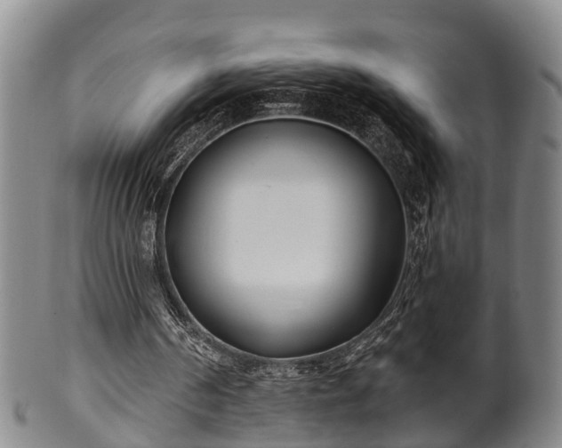 X0000100870194200806271121