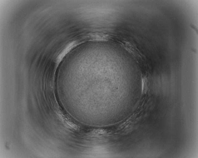 X0000100870195200806271121