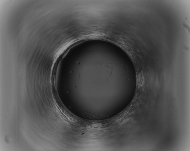 X0000100870196200806271121