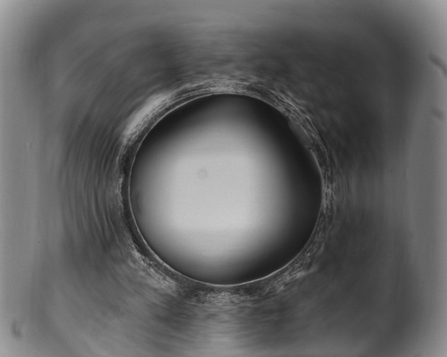 X0000100870197200806271121