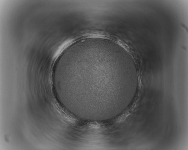 X0000100870199200806271121