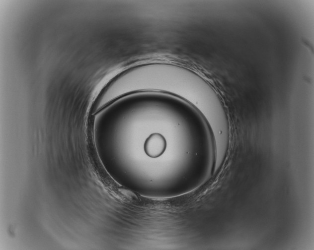 X0000100870200200806271121