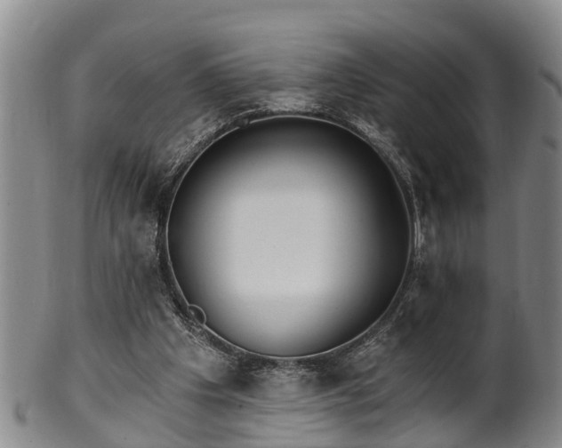 X0000100870201200806271121