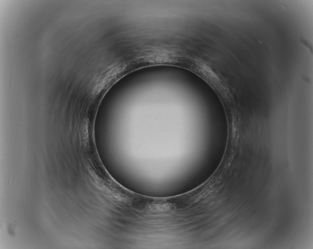 X0000100870202200806271121