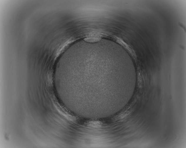 X0000100870203200806271121