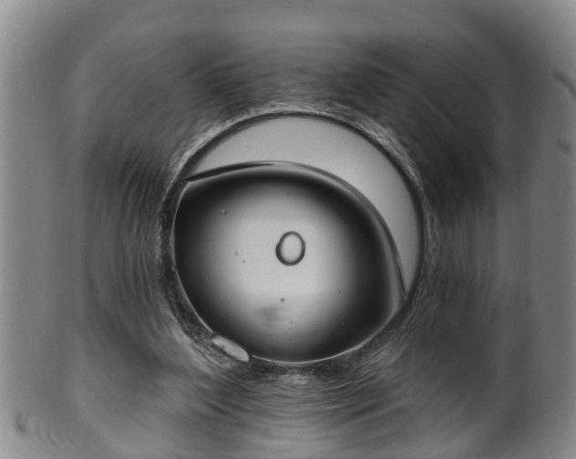 X0000100870204200806271121