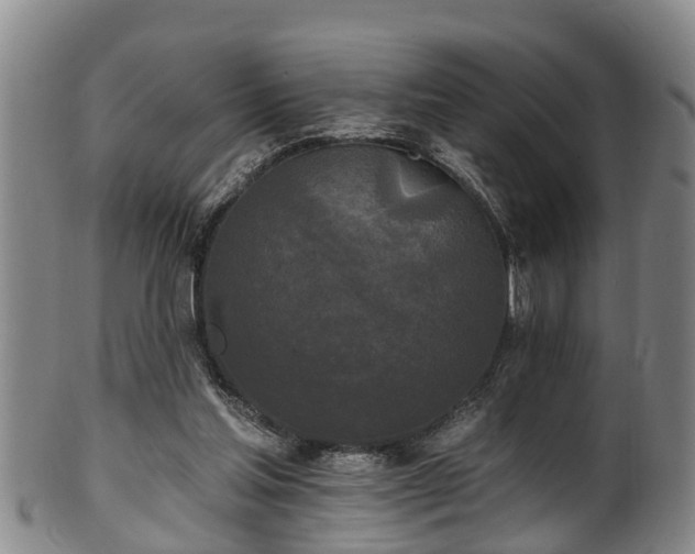 X0000100870205200806271121