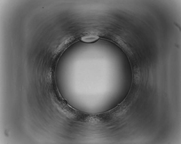 X0000100870207200806271121