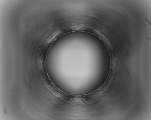 X0000100870209200806271121