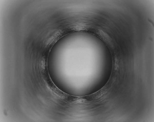 X0000100870210200806271121