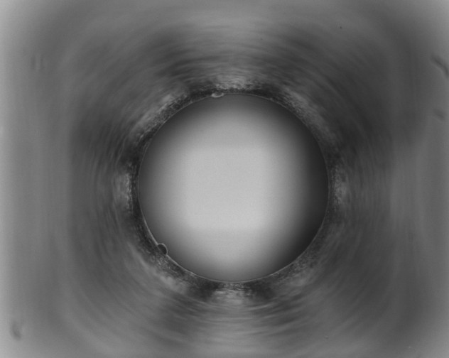 X0000100870211200806271121