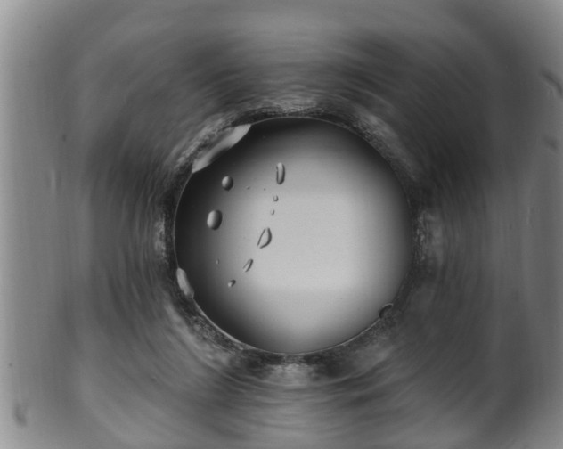 X0000100870212200806271121